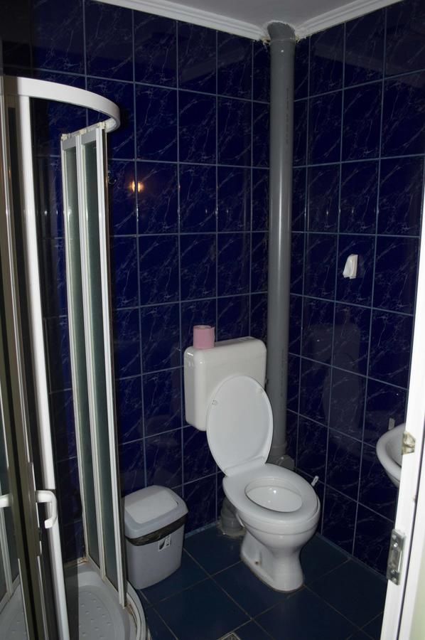 Хостелы Hotel Casa Verde Prosper Бухарест