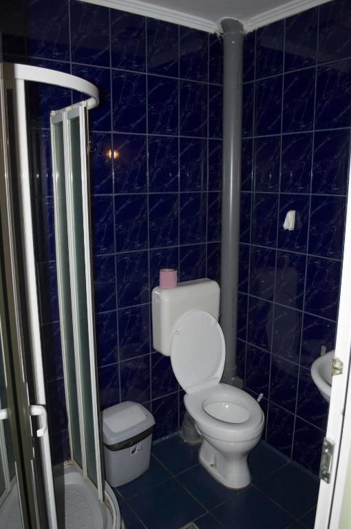Хостелы Hotel Casa Verde Prosper Бухарест-39