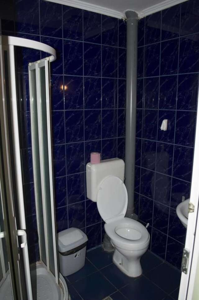 Хостелы Hotel Casa Verde Prosper Бухарест-22