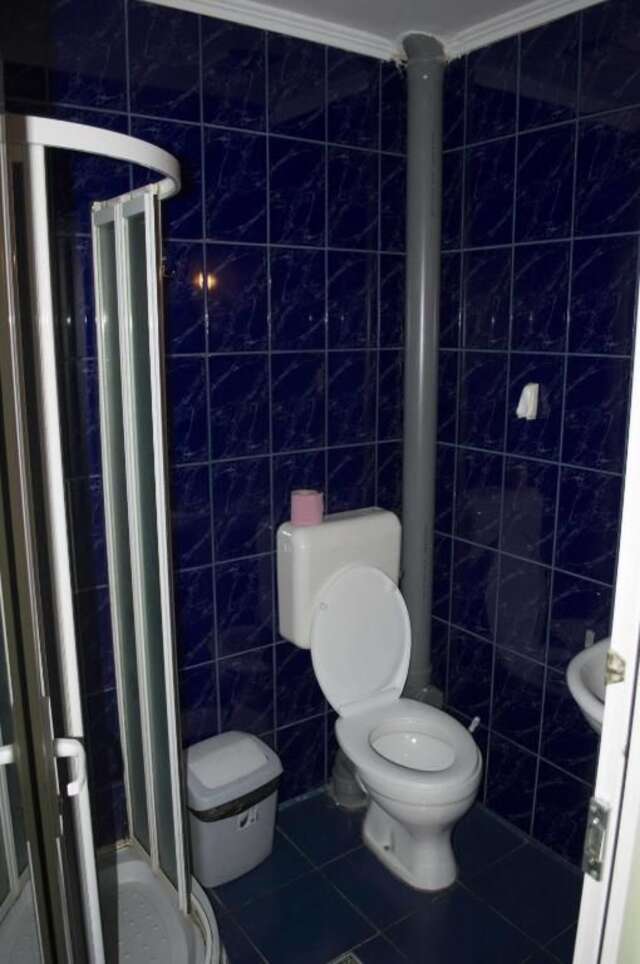 Хостелы Hotel Casa Verde Prosper Бухарест-38